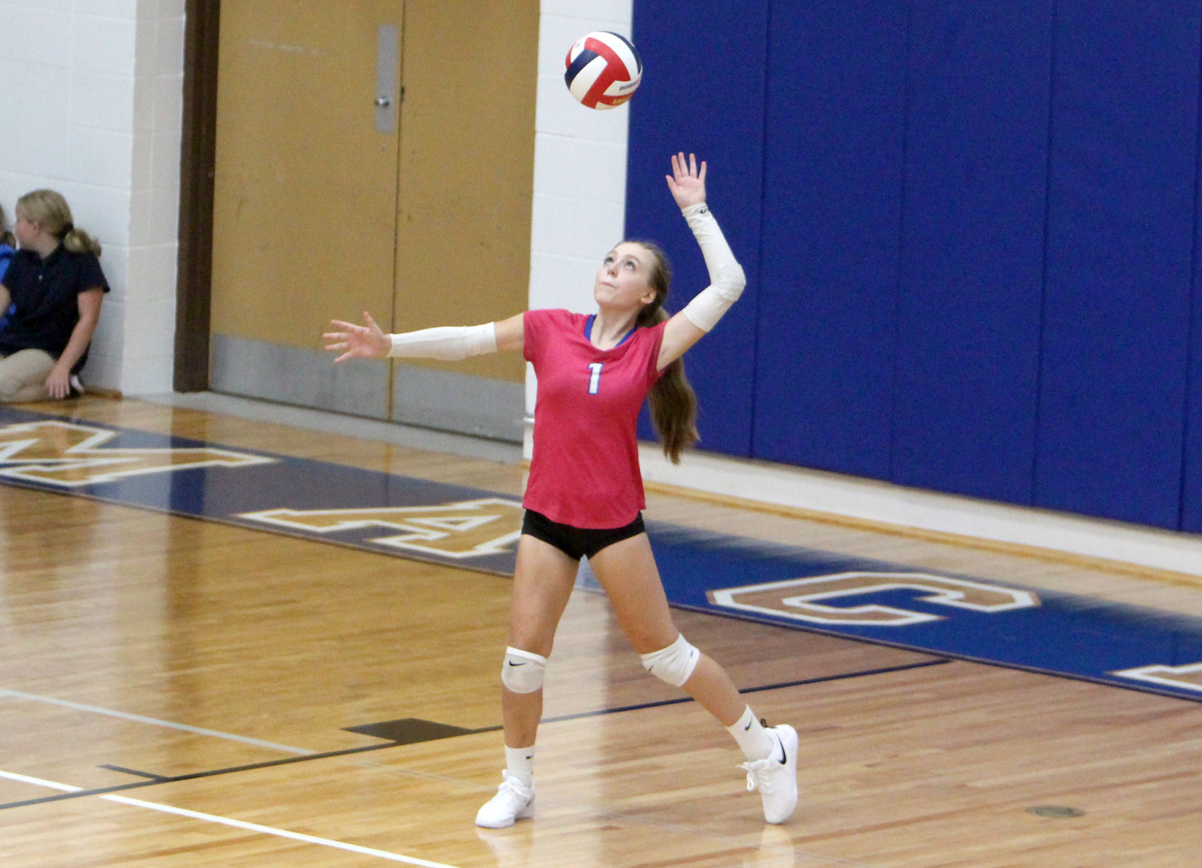 Eau Claire Regis at McDonell volleyball 9-12-19